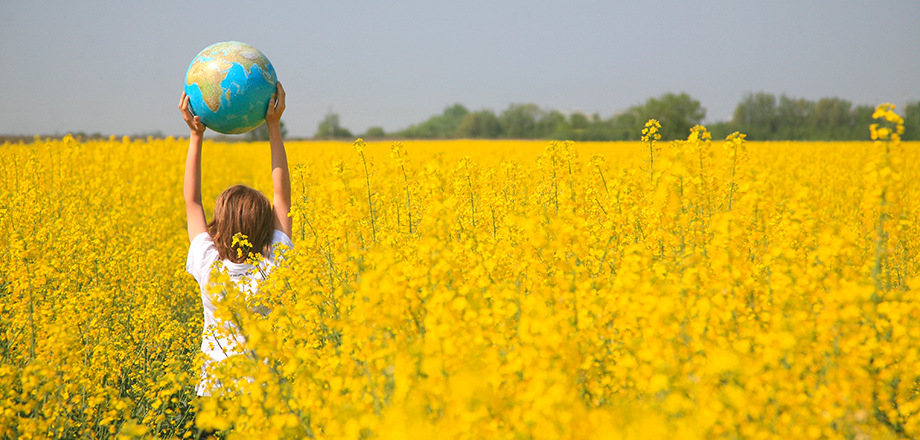 L’impact des nouvelles réglementations environnementales sur l’immobilier